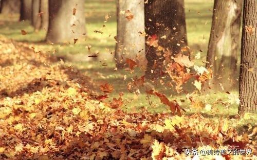 陶渊明最豪放的一首诗，6句就有4句千古流传，迷茫人看清人生真谛