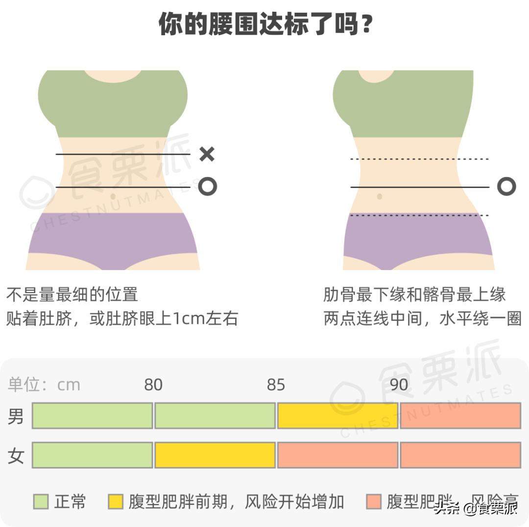 正常腰围标准对照表女（女生腰围67cm粗还是细）