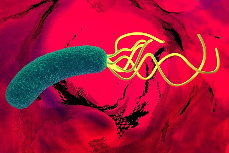 幽门螺旋杆菌最好的治疗方法，口臭特点及如何治愈？