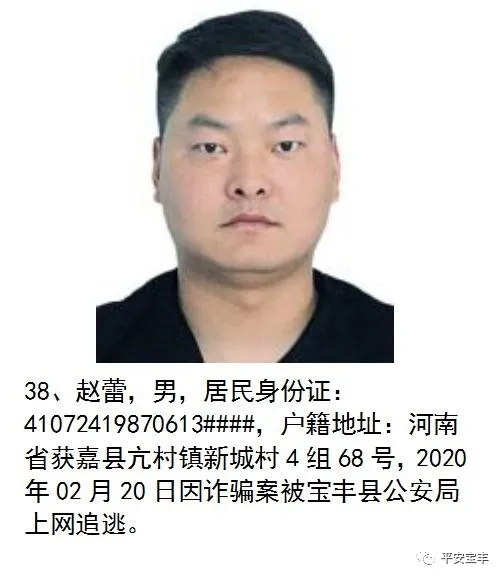 网上逃犯,网上逃犯名单查询系统