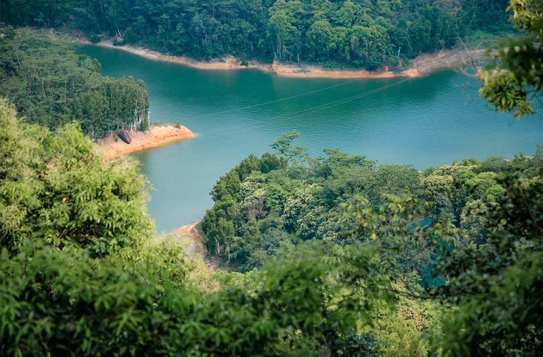 深圳值得征服的10座山，你去过几座？