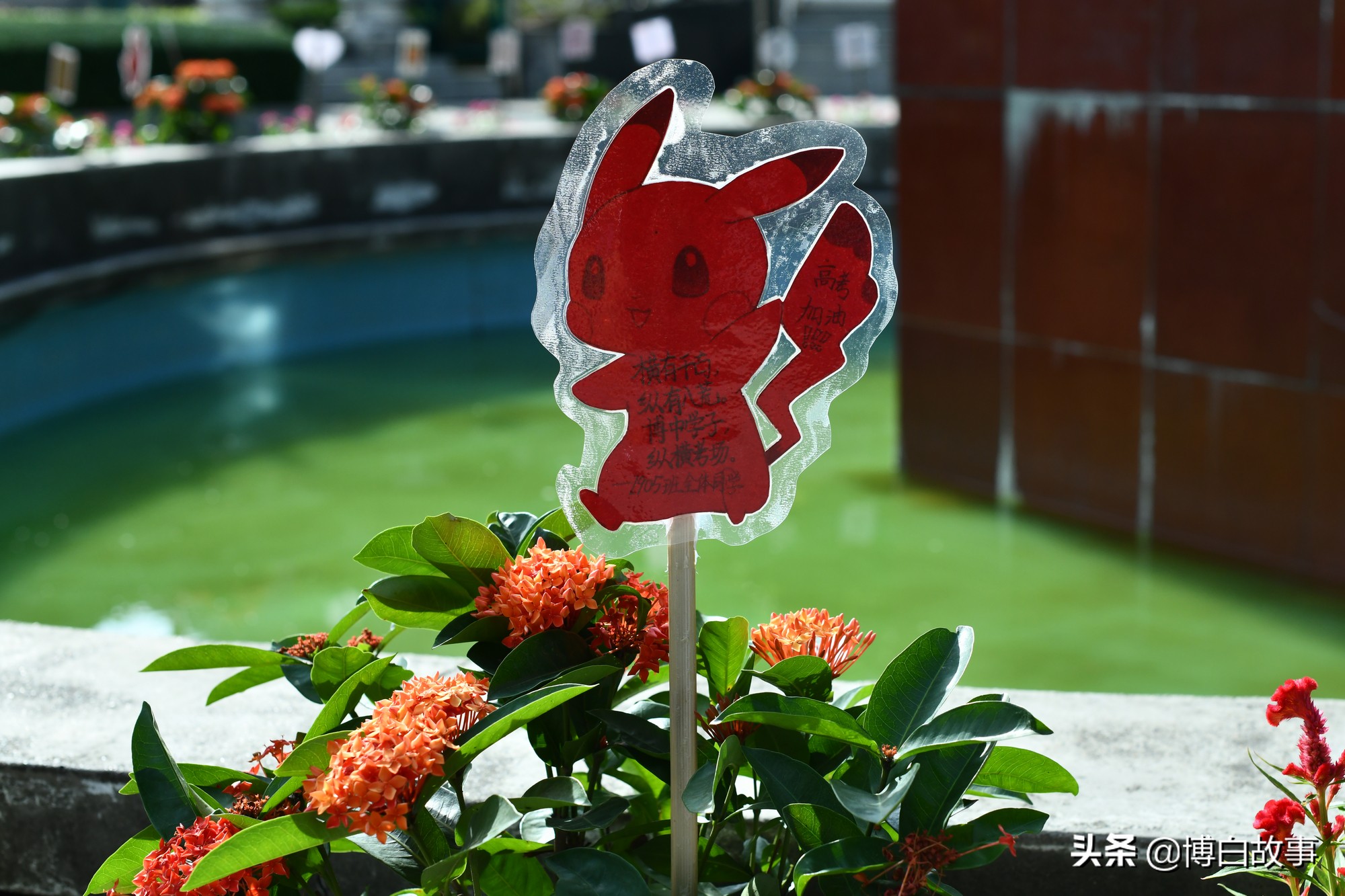 广西博白县中学做了大量工作，确保考生以最佳状态参加高考