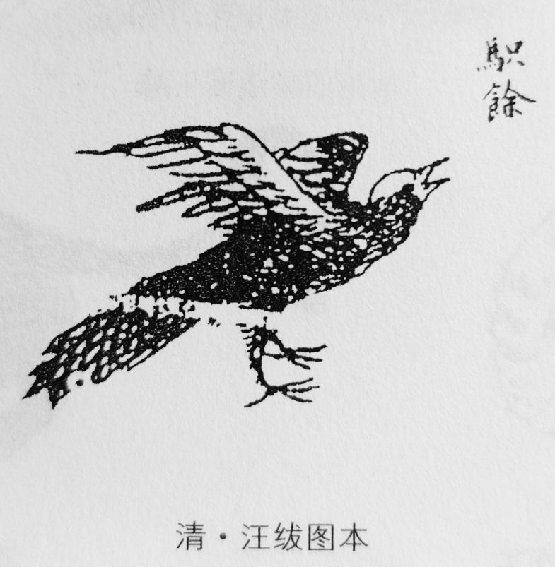 山海经中山经中的山川大河 奇禽怪兽 奇草异树（三）