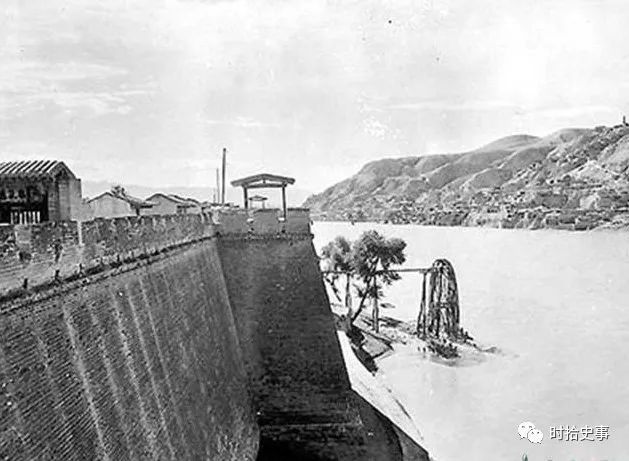 这个“保保”有点猛