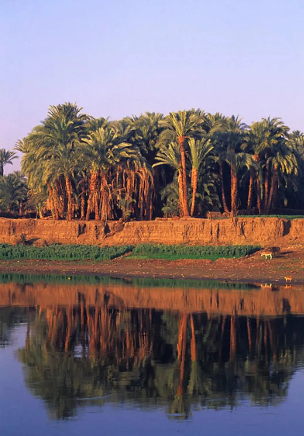 尼罗河在哪个国家（世界第一长河尼罗河全长多少）