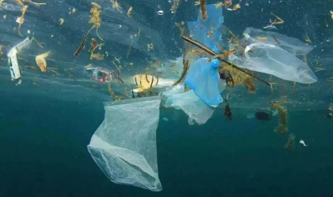 海底一萬米有多恐怖(海洋探索比太空探索更困難)