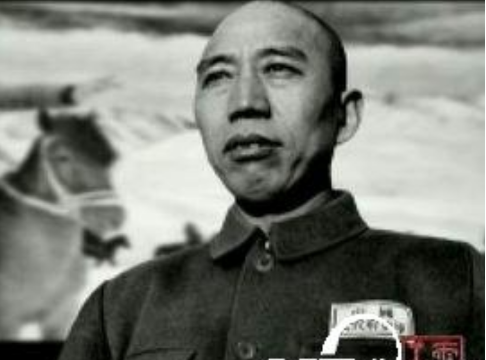 建国后中央禁止持枪见主席，王震是个例外，主席：别拿原子弹就行