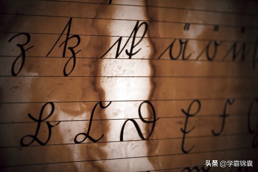 高中英语句子成分划分详解与应用