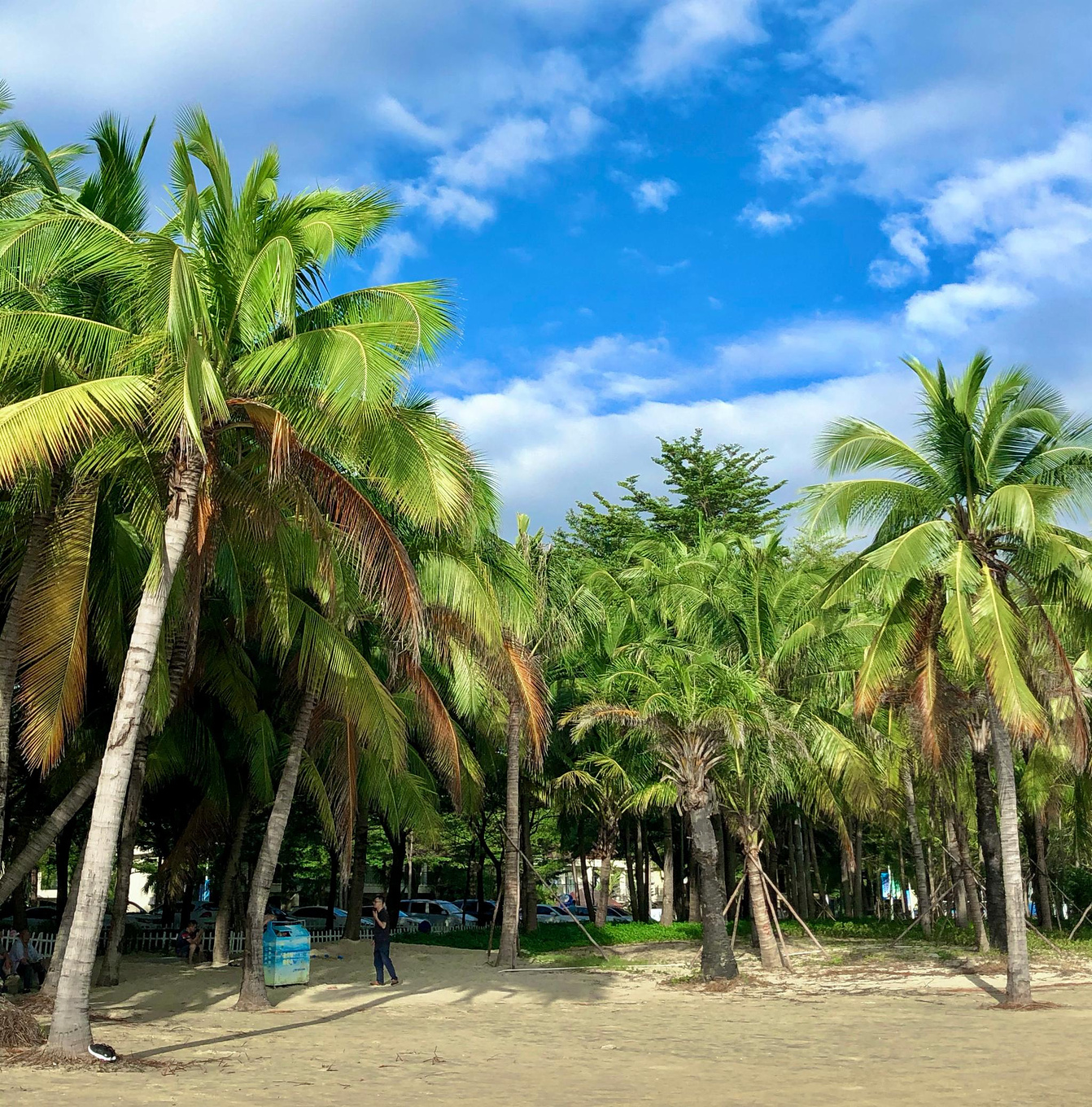 海南三亚|美食,美景皆不可错过,地道行程应该这样玩