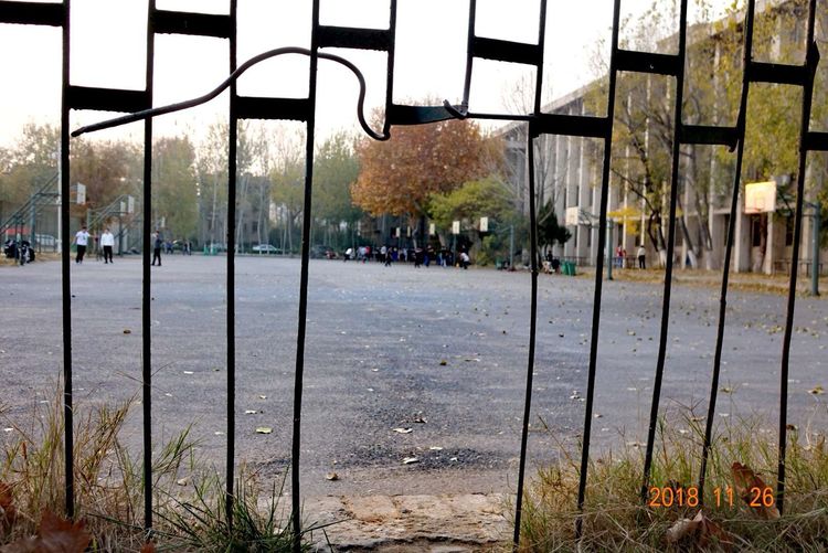 30年重回母校，深情切切，可喜新颜——河大老校区随拍