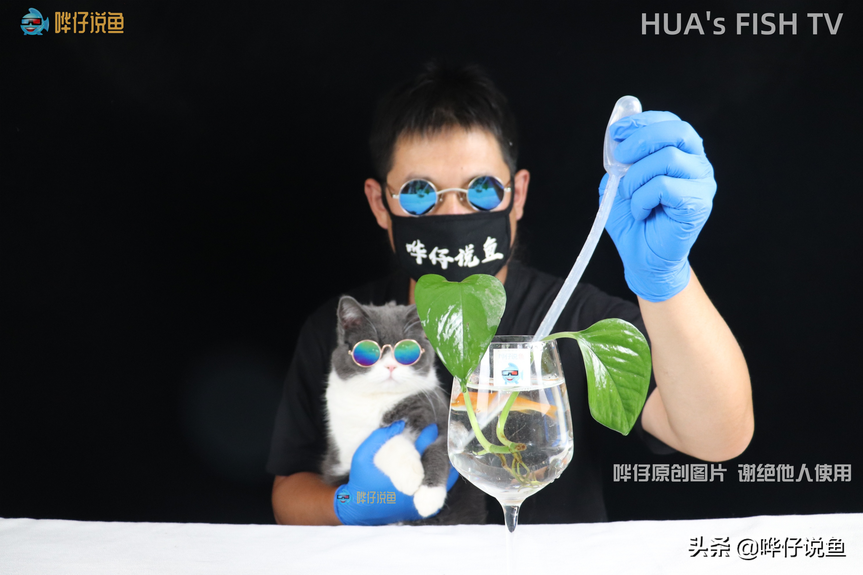 如何让鱼缸里漂浮的脏东西消失？彻底去除没办法，挑战极限有妙招