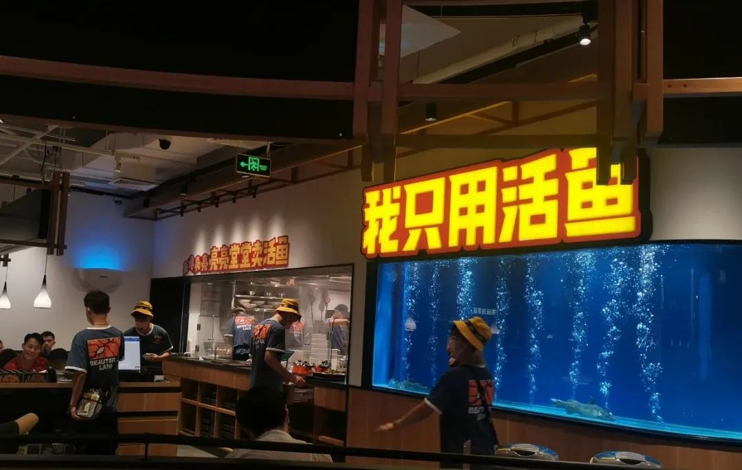 探店测评 | 九毛九首家烤鱼店：先别想着复制太二