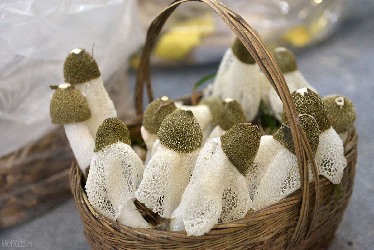 竹荪怎么处理才没有怪味？竹荪怎么洗得干净-壹健康经验
