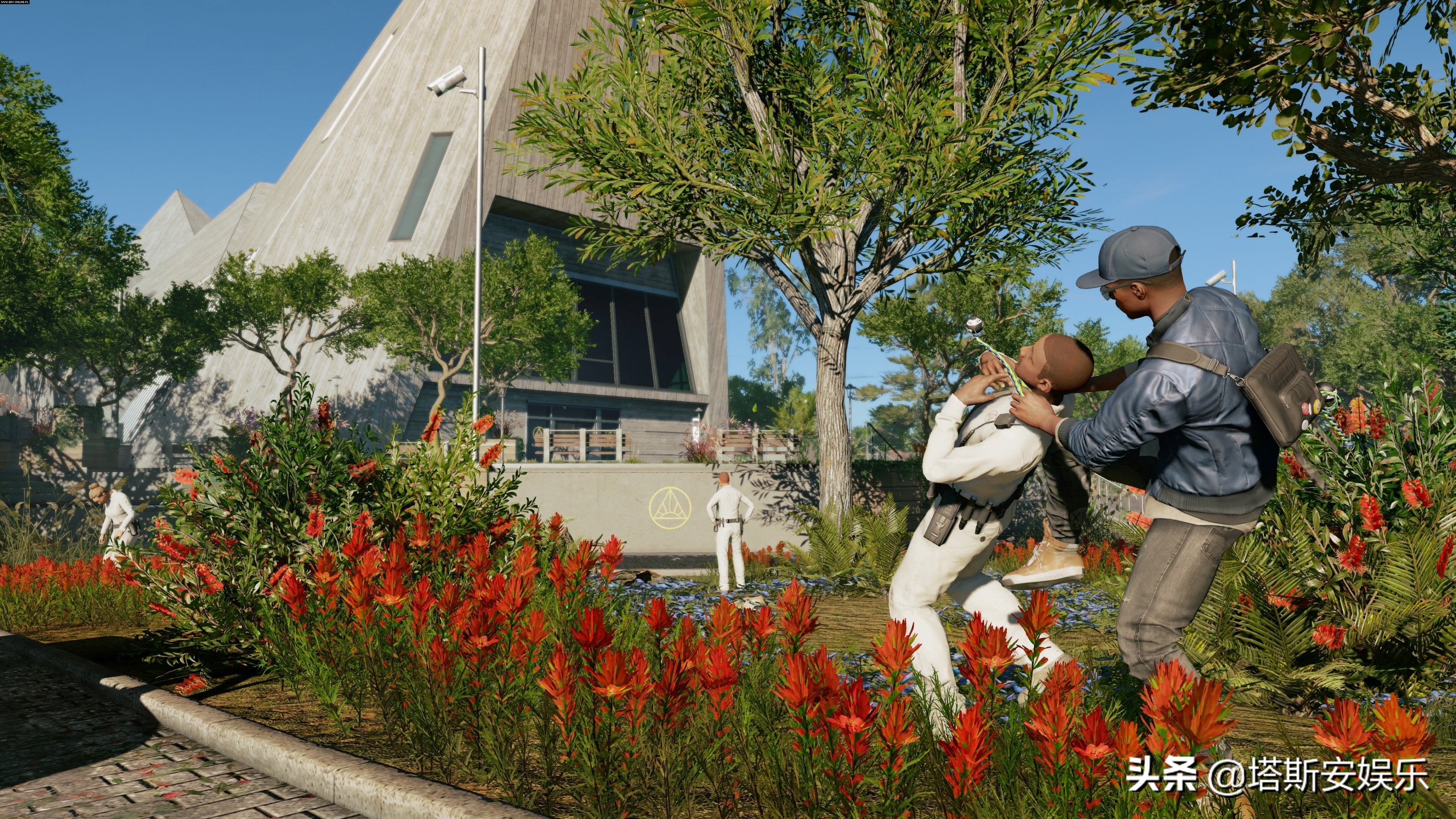 有哪些好玩的单机休闲手游？ 五款经典好玩的单机休闲手游推荐