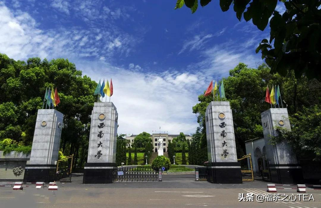 这些茶学专业的高校你知道吗？