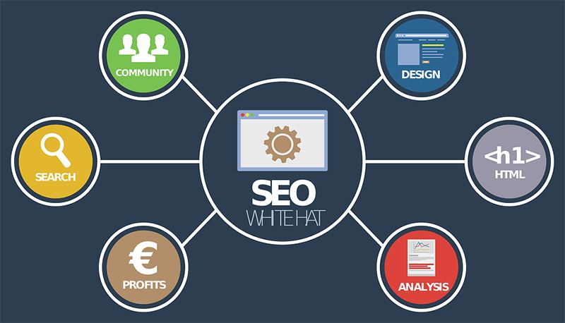 SEO优化排名技巧：提升网站搜索排名的有效方法