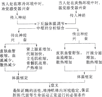 感冒发烧体温老不退到底是为什么？
