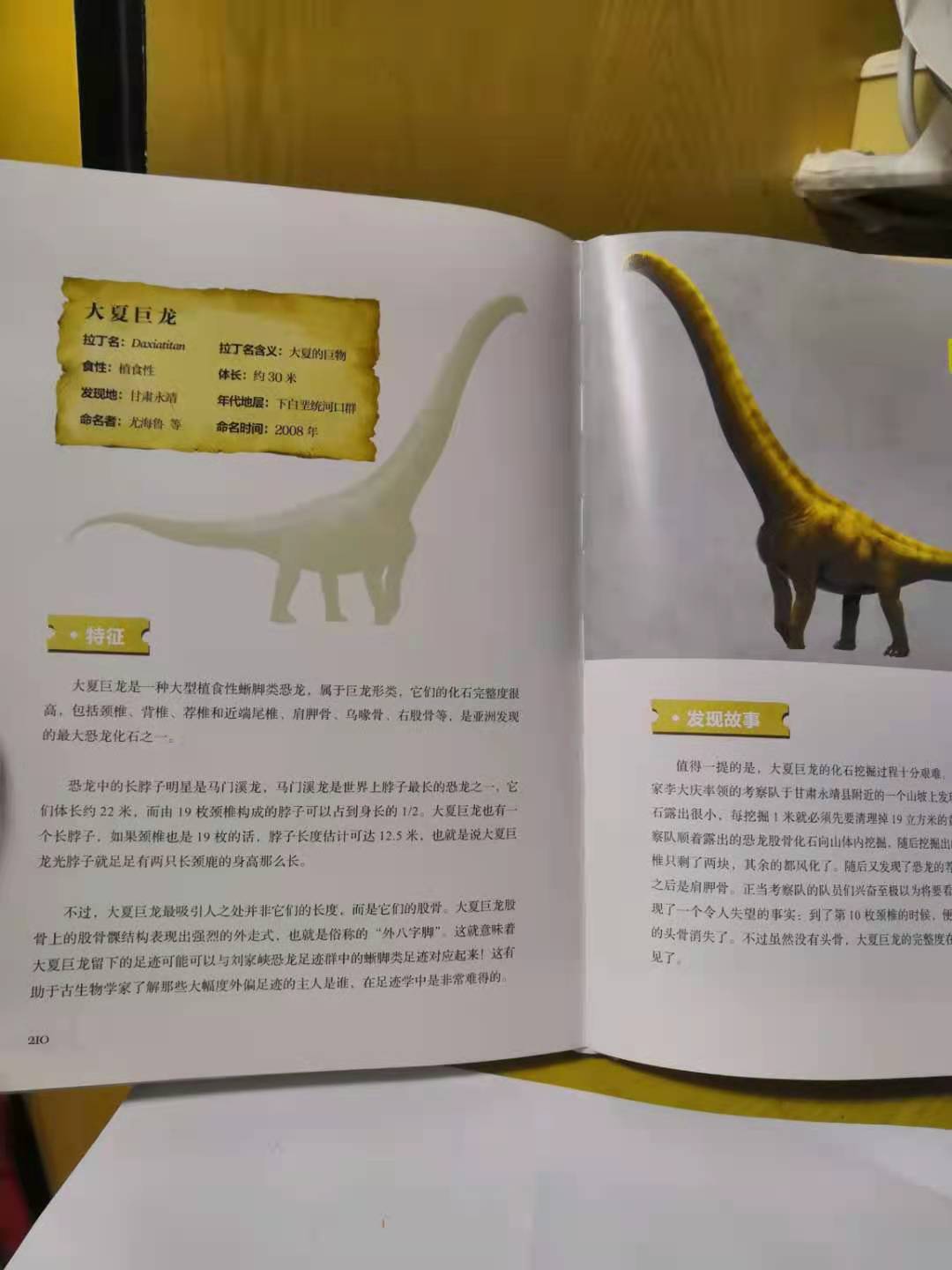 灭绝的古生物中为什么恐龙会备受关注？中国的恐龙到底有多少种？