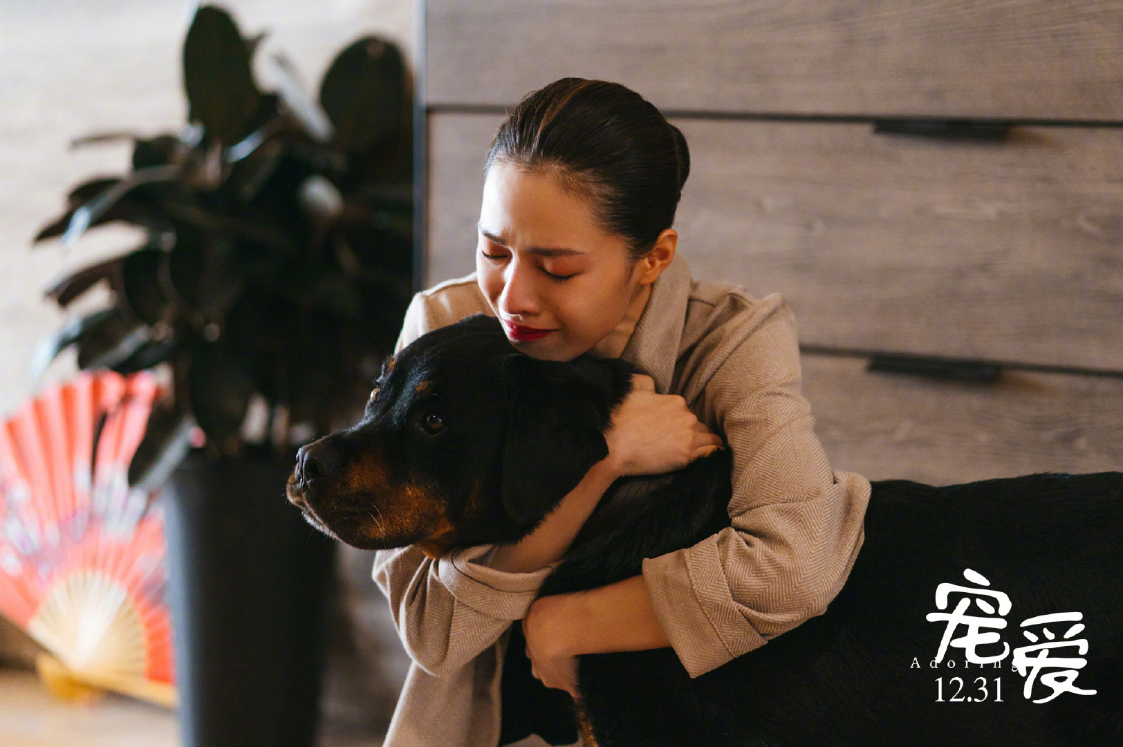 宠爱电影剧情陈伟霆「分析」 _晶羽科技