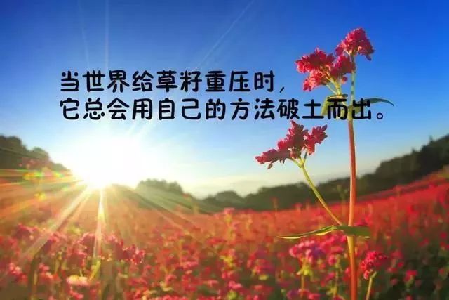 早安心灵鸡汤励志语录 早安励志的说说句子，得福翡翠