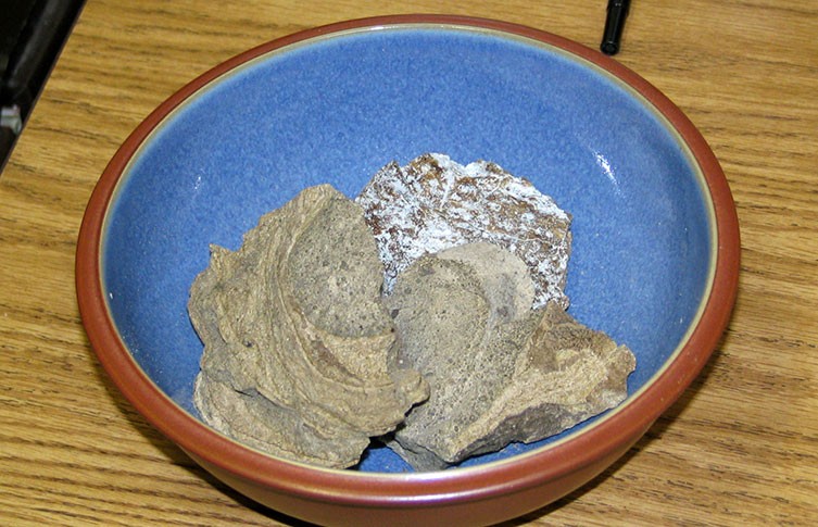 鯨排泄物龍涎香，為什麽拉出來的香且比黃金貴，人工取出來的臭？