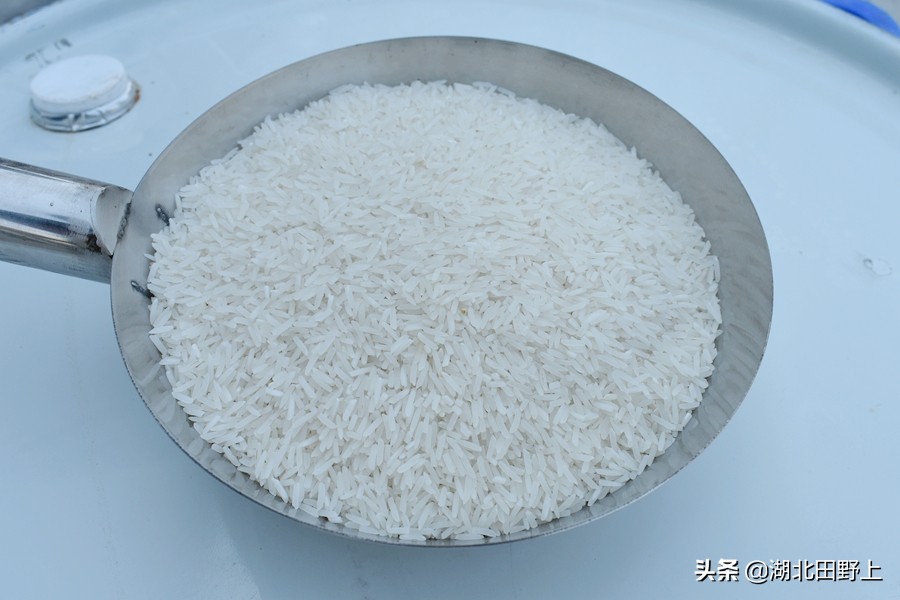 田野上團(tuán)隊(duì)回訪(fǎng)美麗的分鄉(xiāng)鎮(zhèn)插旗村