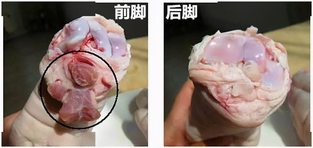 买猪蹄,要分清"前蹄"和"后蹄",区别口感挺大,弄懂了再买