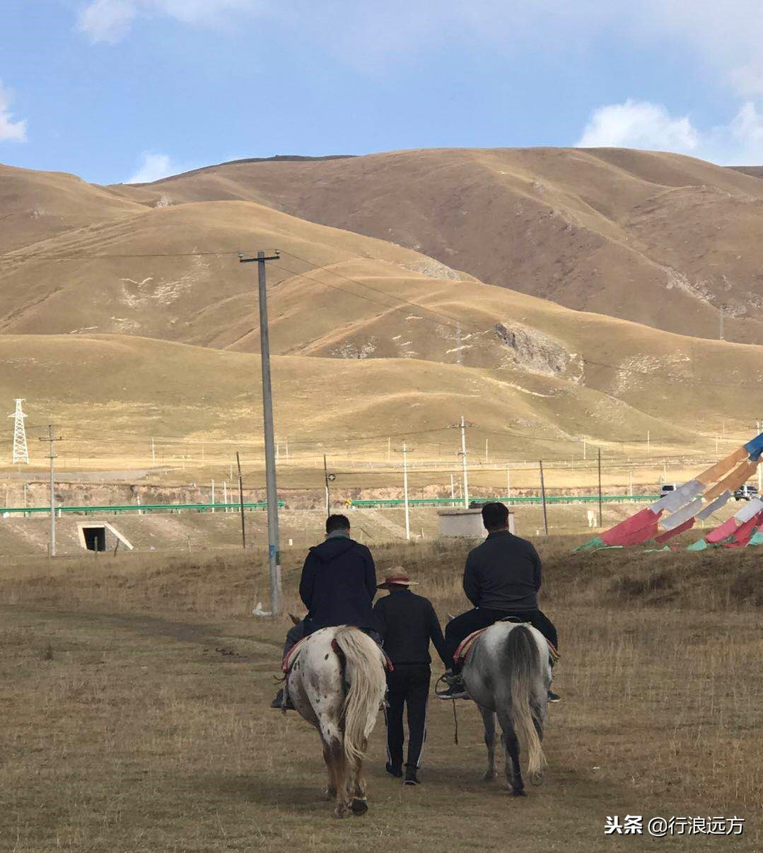 风光别致大西北，一路向西走青甘