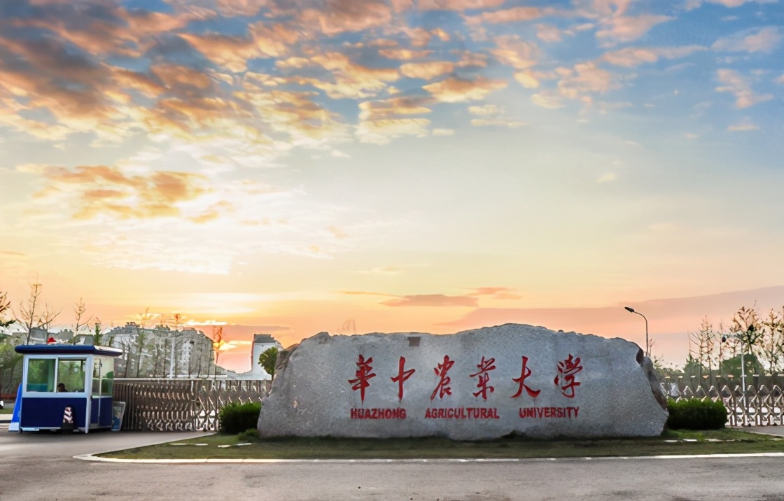 武汉这所高校“很低调”，隶属于国家教育部，但报考专业相对冷门