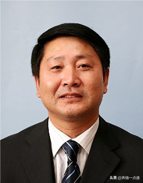 吴金节，安徽农业大学教授、博导，临床兽医学学科负责人