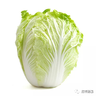 能减肥，能致富！揭秘“负风险创业”的木婉清