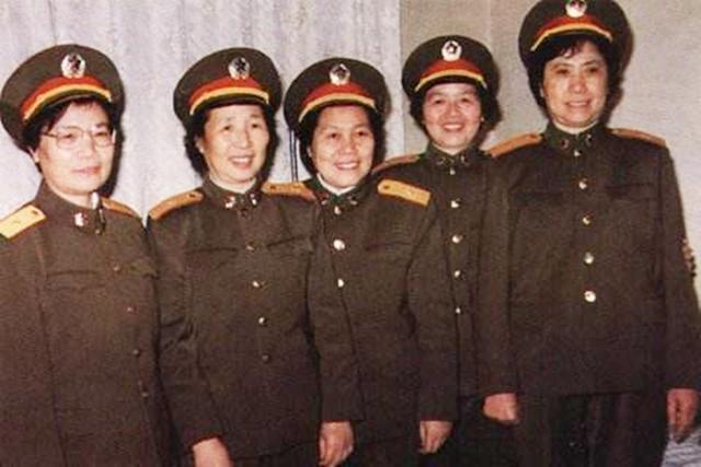 （十个元帅后人的故事，新中国的见证者与参与者）