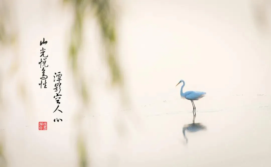 诗词丨慢品人间烟火色，闲观万事岁月长