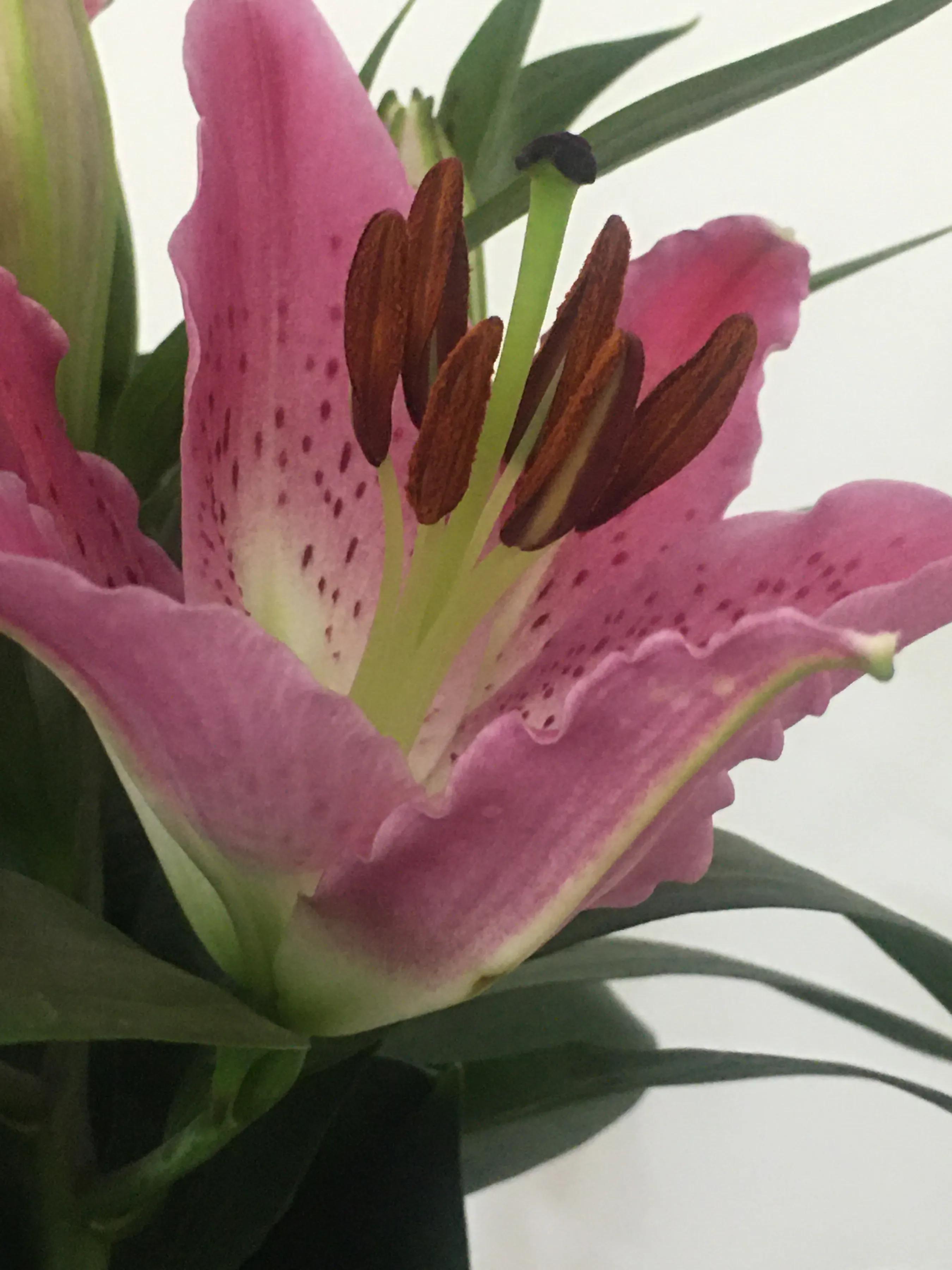 创业，你真的准备好了吗？