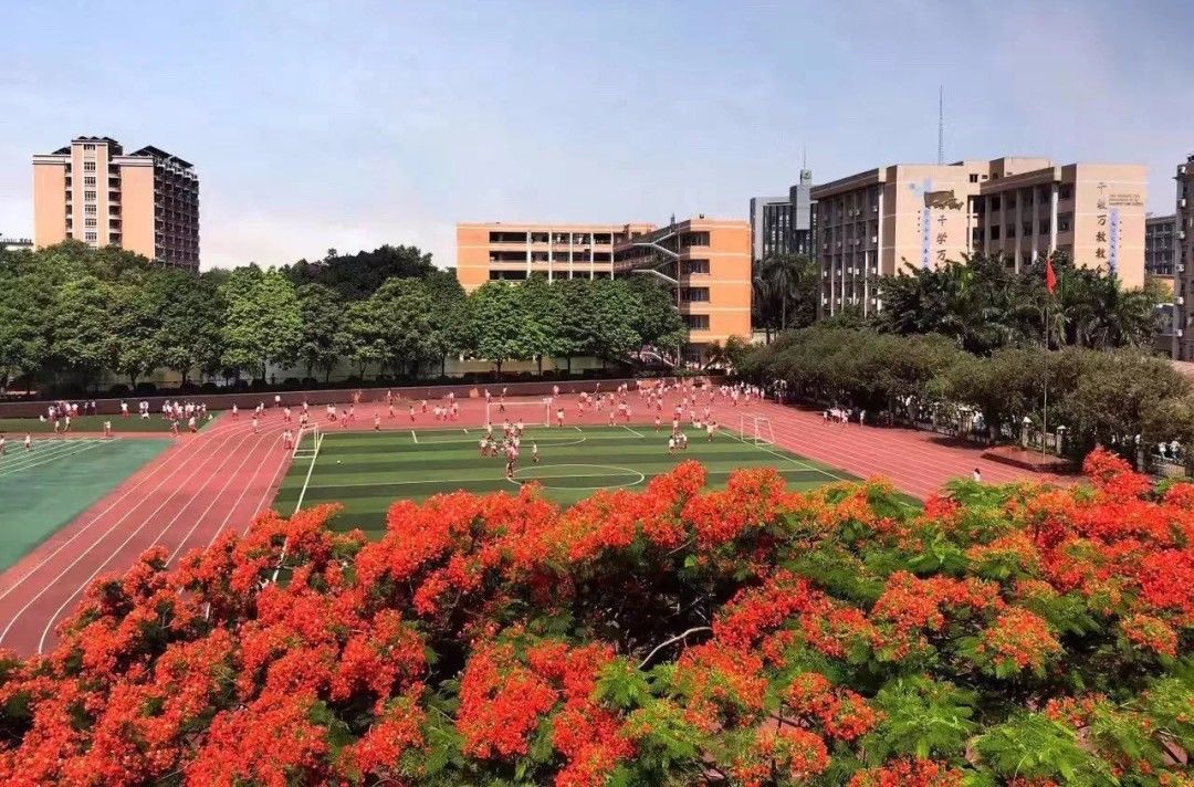 广东外语外贸大学分数线（在读家长谈广外外校）