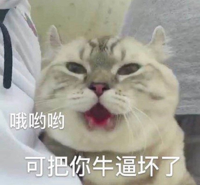 猫生气了表情