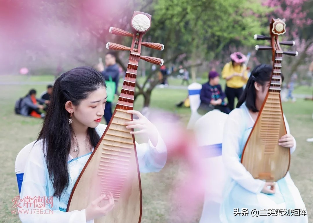 诗情桃花源 | 此生，只为你盛开这朵桃