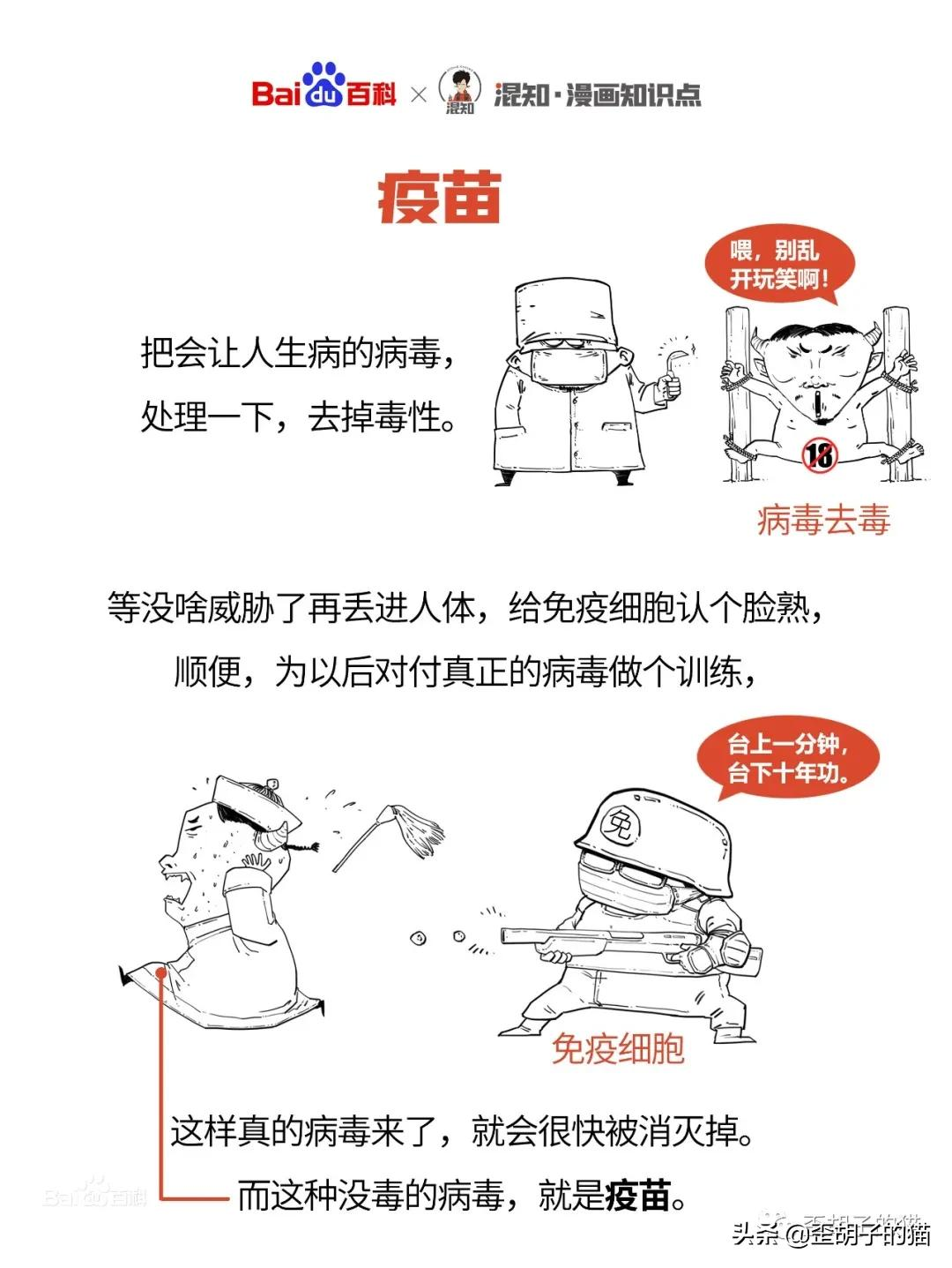 我被猫咪抓伤了,会死吗?《最全猫咪狂犬病脱恐大全》