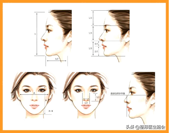 是的，好看的美鼻有标准，你符合几个？