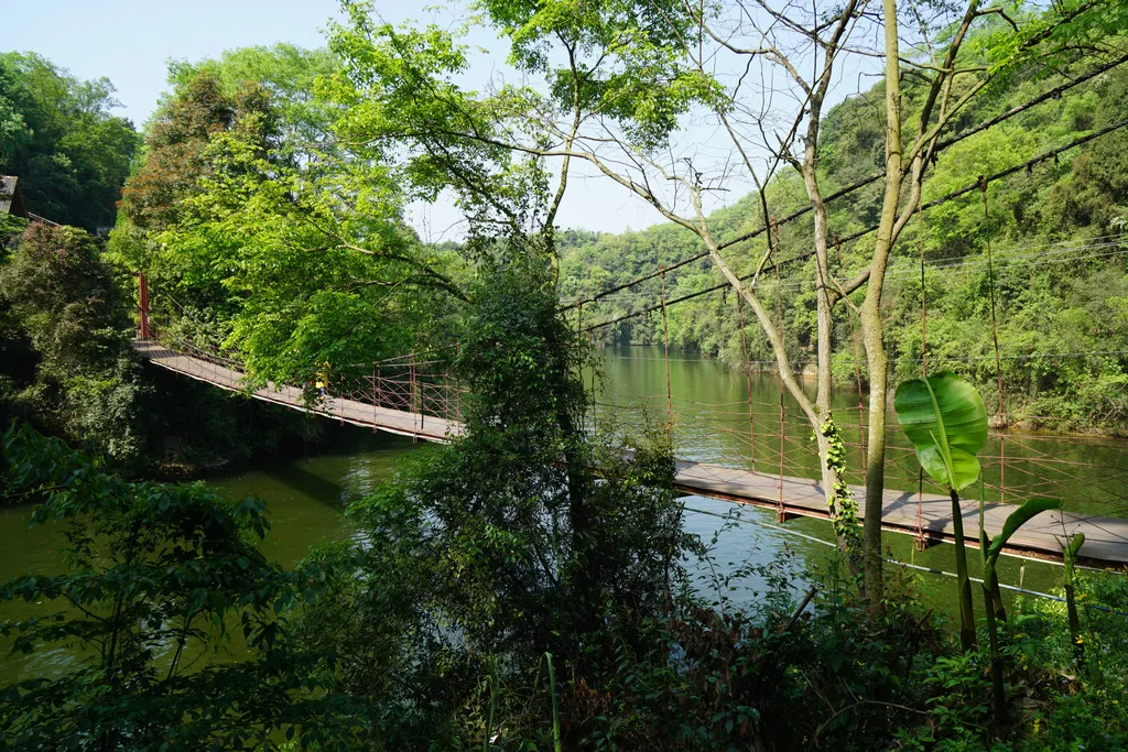 大邑8处野生溪流+天然瀑布，耍水收藏