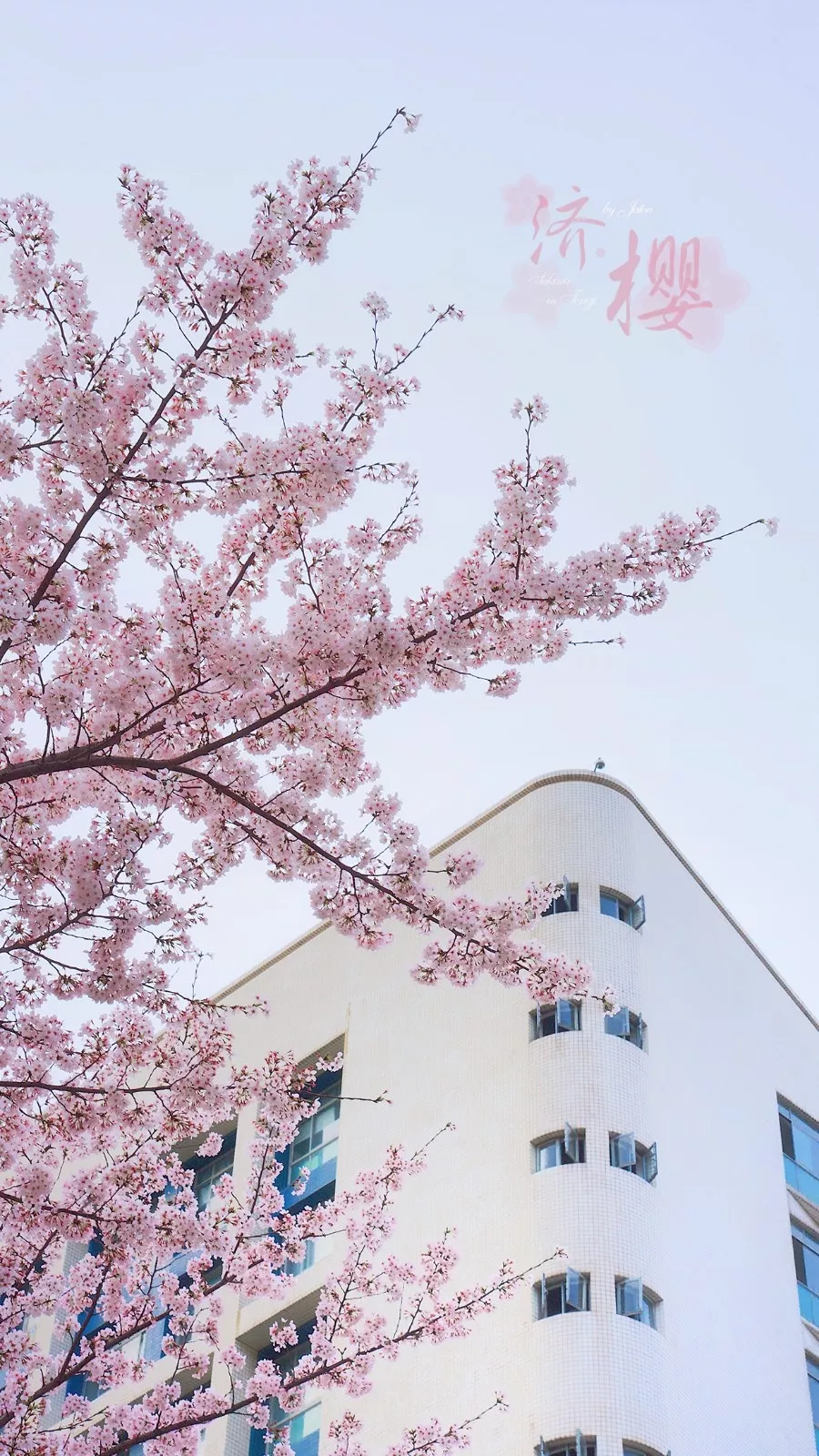 中国这10所大学壁纸第二期！厦门大学、中山大学等在列