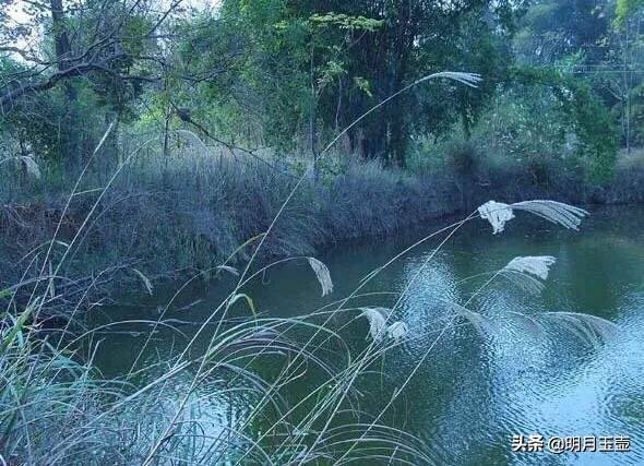 上联“野陌秋风起”，征求美联妙诗