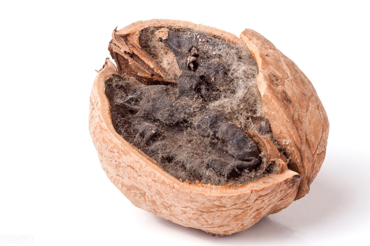 食物发芽后有剧毒不能吃?有些不仅能吃,营养价值还会变高