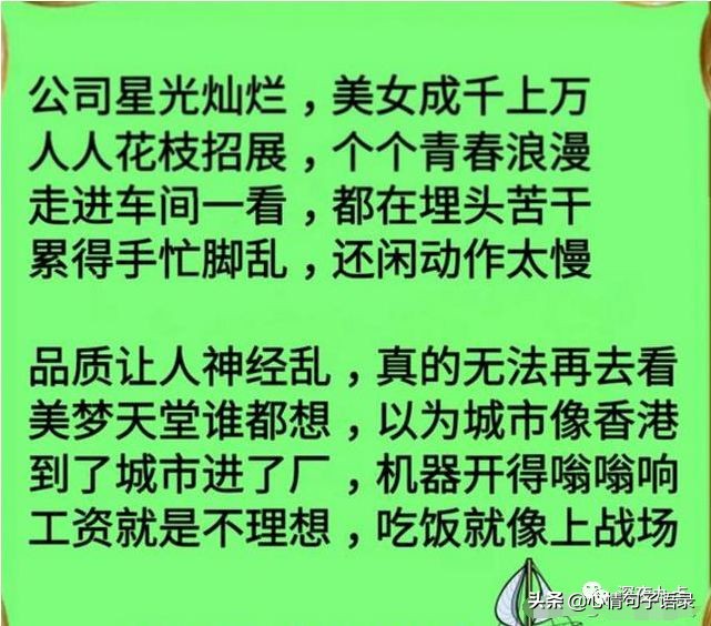 《打工词》献给在异地打拼的兄弟姐妹们