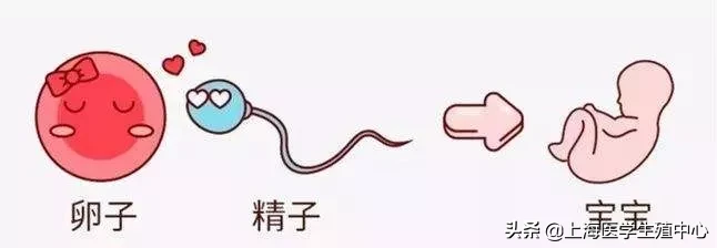 试管婴儿 | 对于不育不孕的患者,在什么情况下适合去做试管助孕?