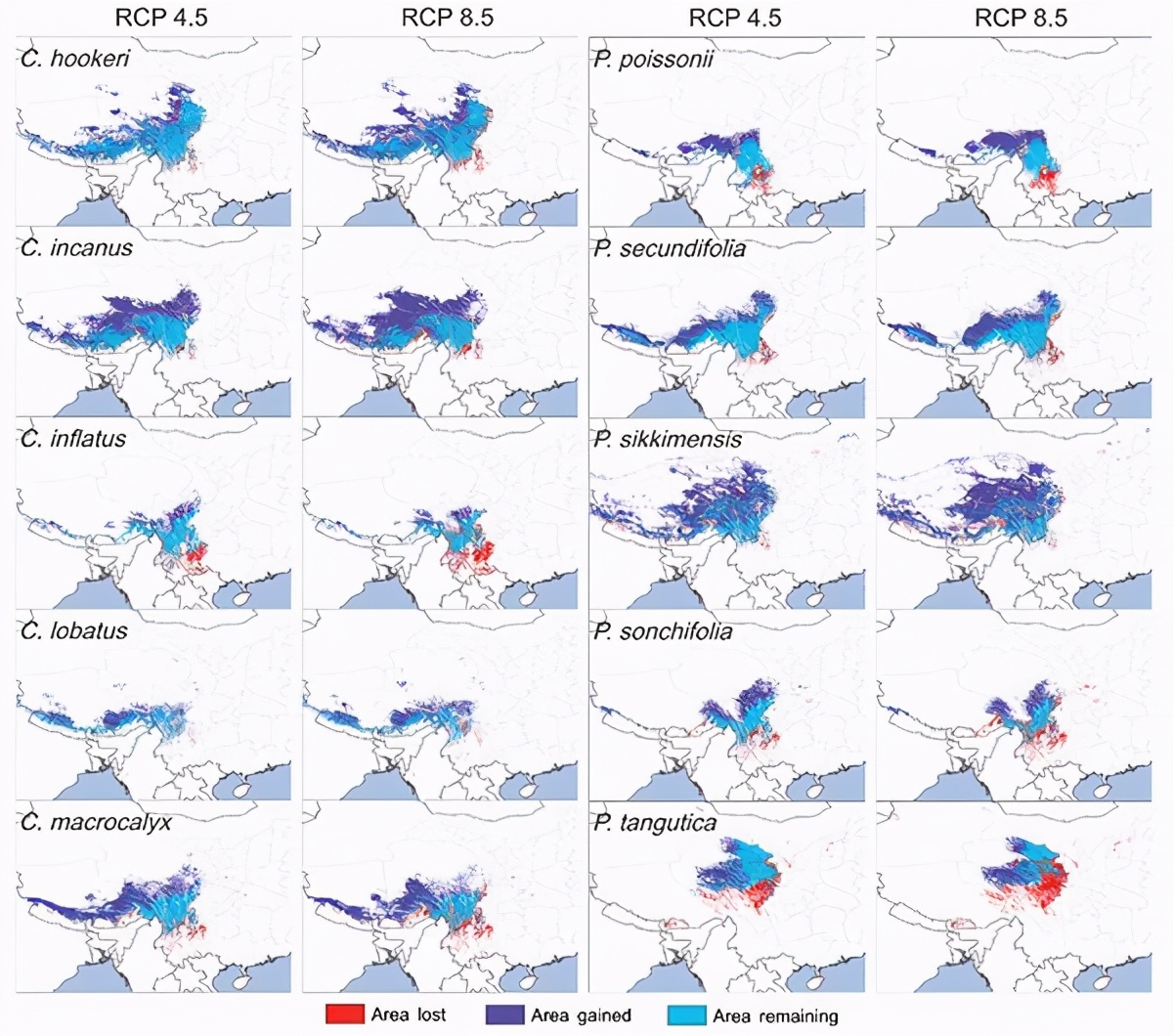 一文读懂易经到底在讲什么？