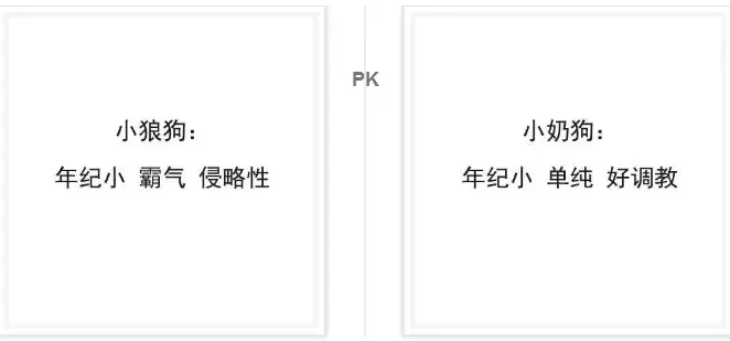 和小奶狗 小狼狗谈恋爱是什么体验 你更青睐哪个