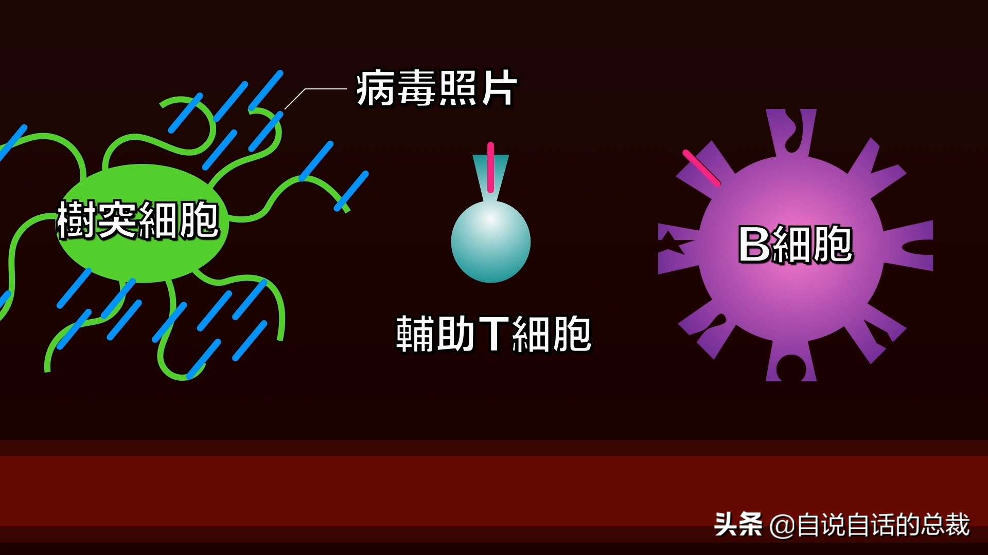 埃博拉：人类的诅咒，你的身体如何对抗它，它到底有多恐怖