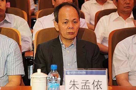 朱孟依(隐形富豪朱孟依接盘恒大物业)_04447排行网