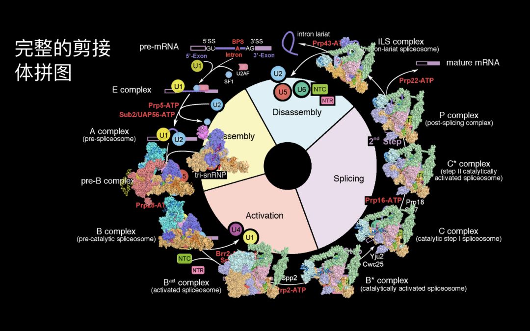 未来女科学家万蕊雪：生命的奥秘和宇宙的奥秘，都是很重要的事情